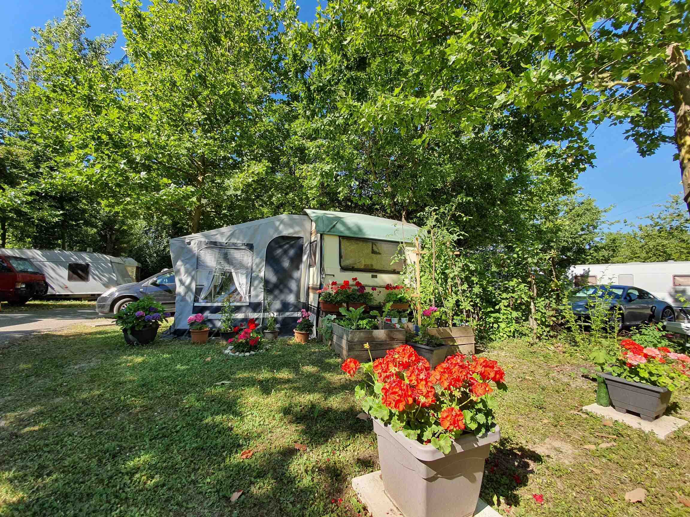 Geneva City Camping Bois de Bay