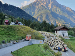 Panorama Stellplatz Ried-Brig