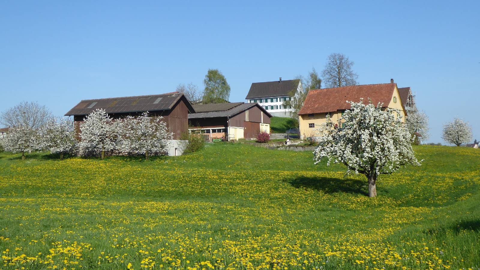 Stellplatz Eggerhof