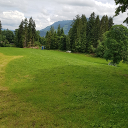 Stellplatz Waldrand Camp