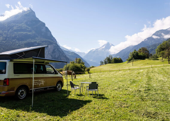 TempCamp - Stellplatz Pferdestall Islern