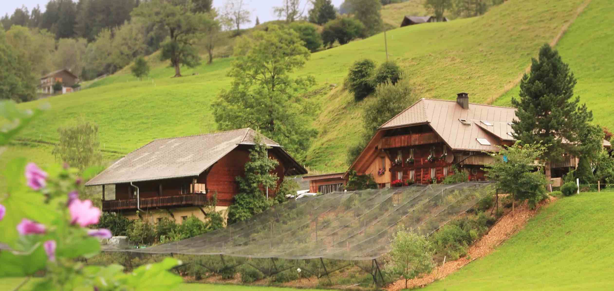 Stellplatz