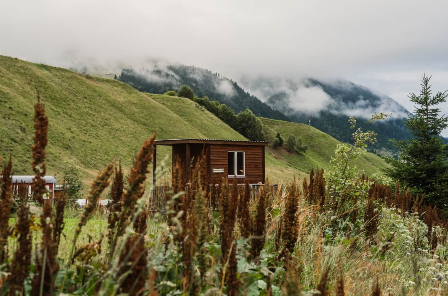 Tiny Homes